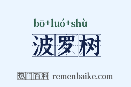 波罗树是什么意思的图片